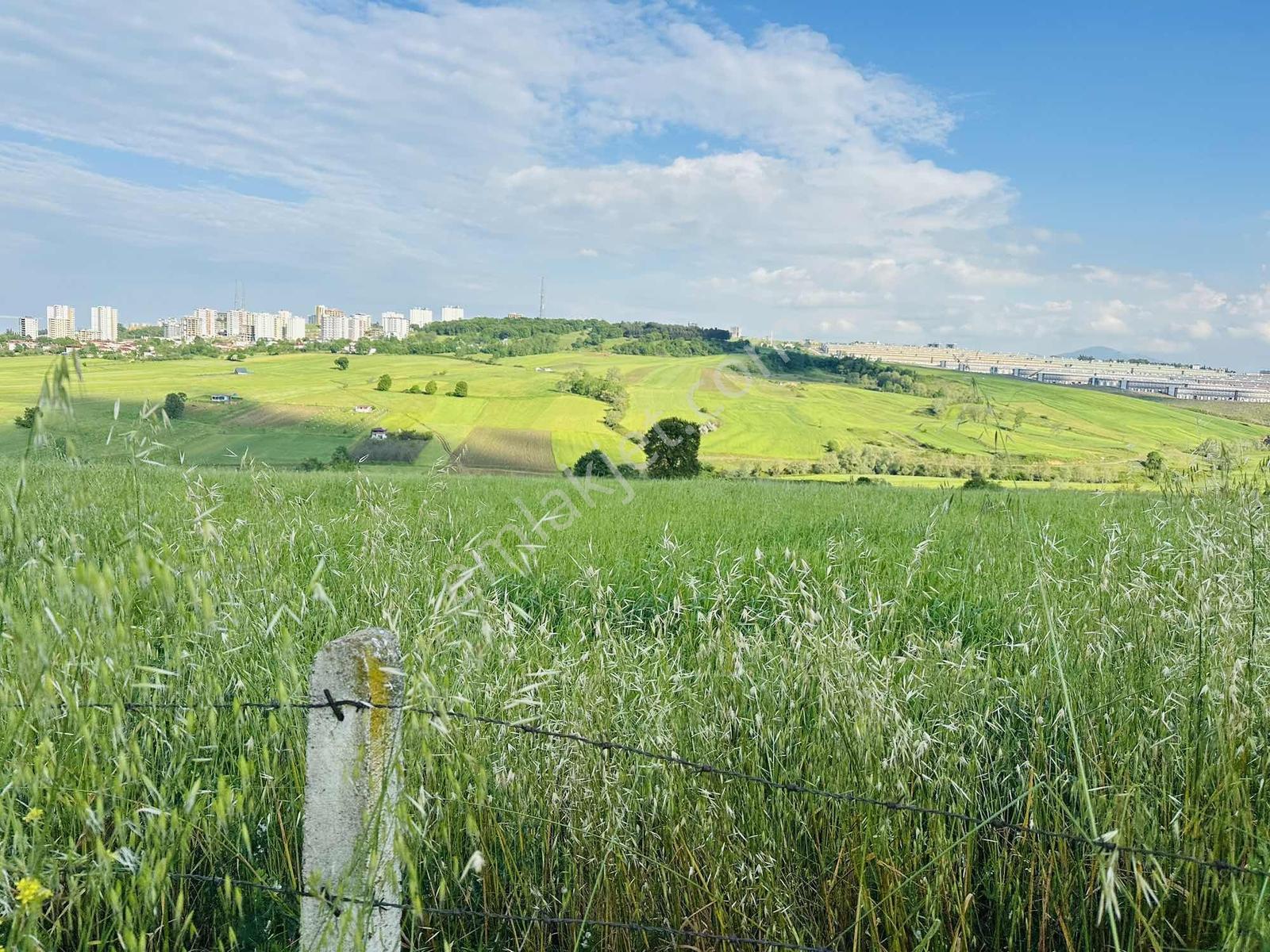 Kamalı'da Konut İmarlı Deniz Manzaraları 62 Metre² Hisse - Görsel 6