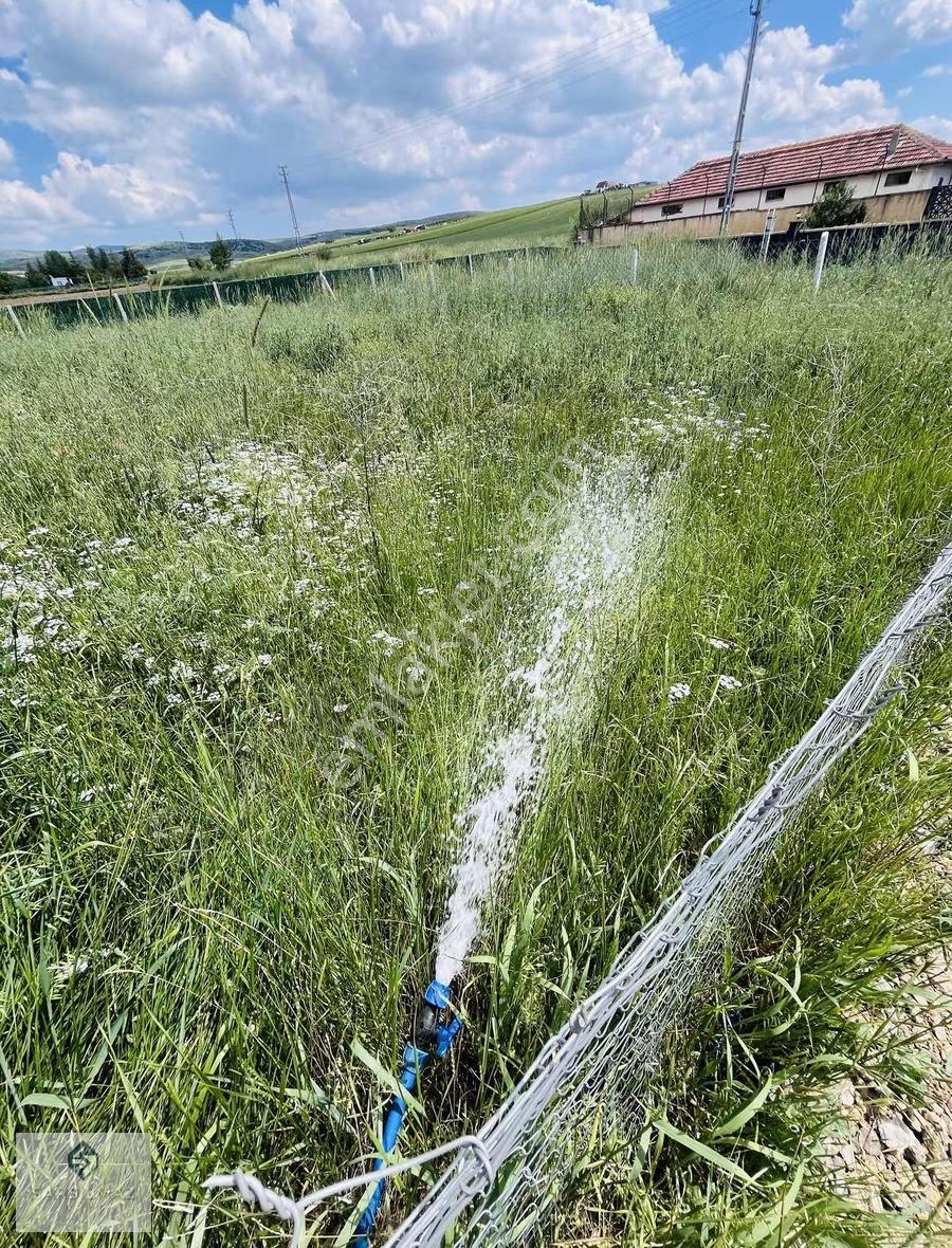 Akyurt Yıldırım Mahallesinde 300m2 Elektrik Su Aktif Bahçeler - Görsel 20