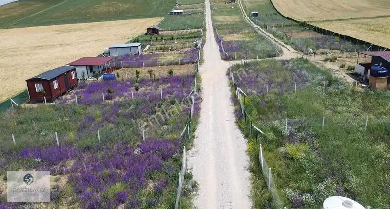 Akyurt Yıldırım Mahallesinde 300m2 Elektrik Su Aktif Bahçeler - Görsel 4