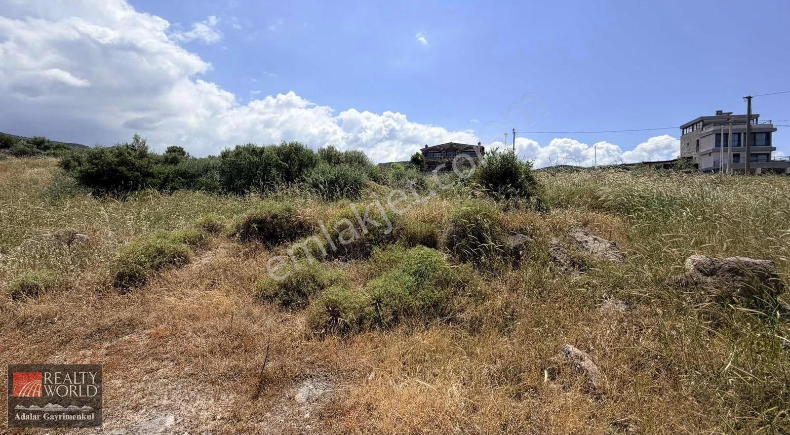 İzmir Bergama Zaytindağ Da Anayola Yakın Satılık Zeytinlik - Görsel 4