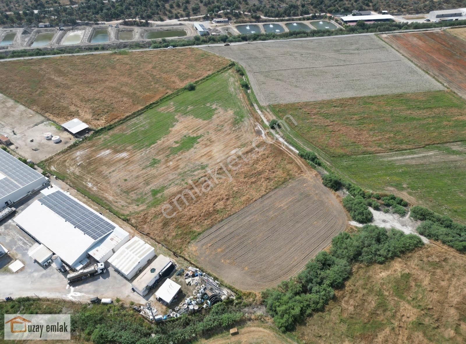 Milas Savranda 16.552 M² Satılık Tarla Üretim Tesisleri Bölgesi