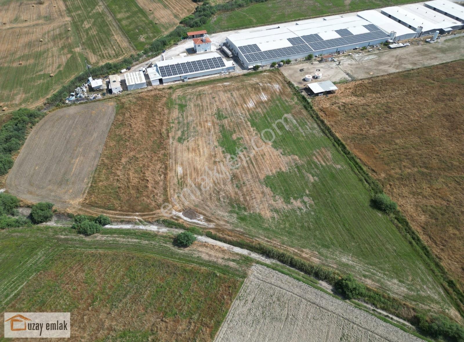 Milas Savranda 16.552 M² Satılık Tarla Üretim Tesisleri Bölgesi - Görsel 6