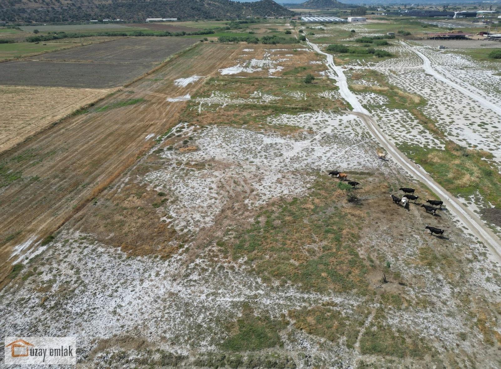 Milas Savran Mahallesi'nde Satılık 15.000 M² Tarla - Görsel 3