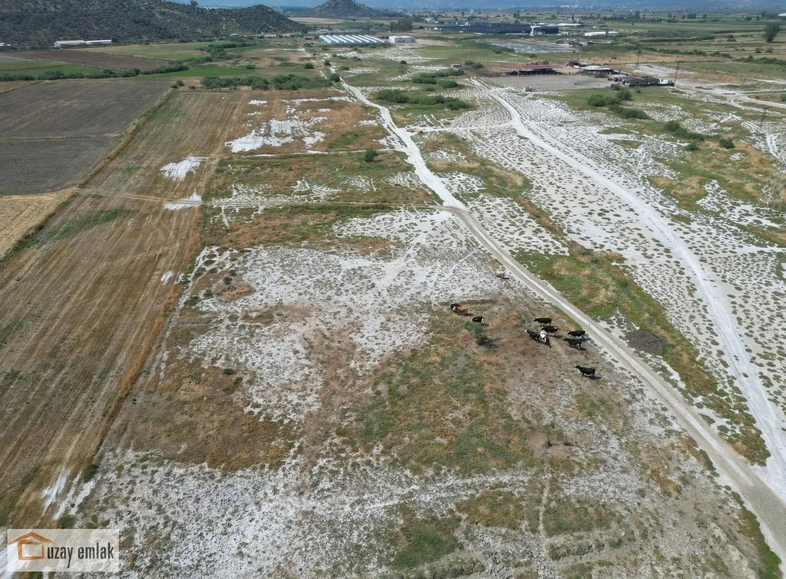 Milas Savran Mahallesi'nde Satılık 15.000 M² Tarla - Görsel 2