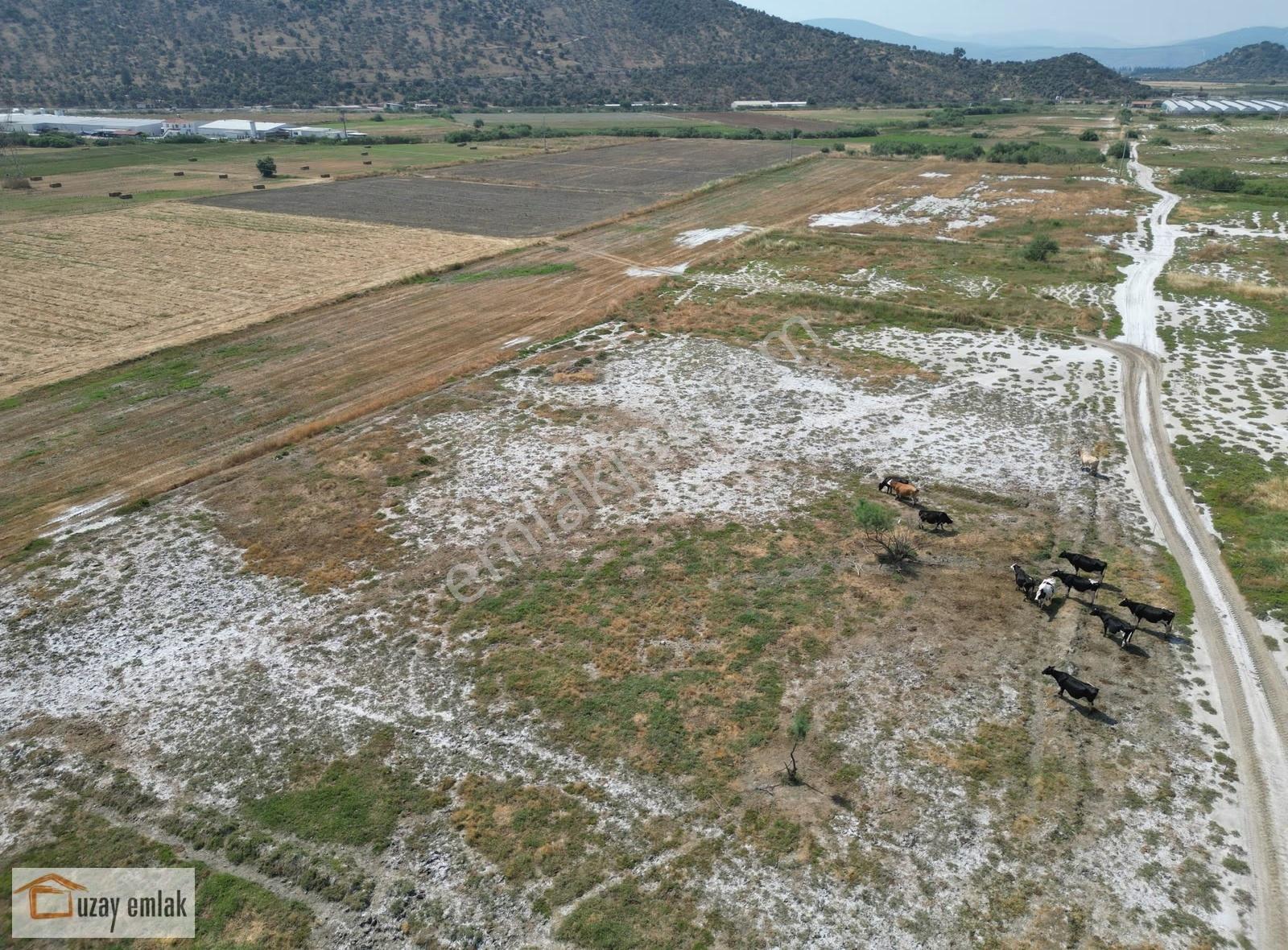 Milas Savran Mahallesi'nde Satılık 15.000 M² Tarla - Görsel 5
