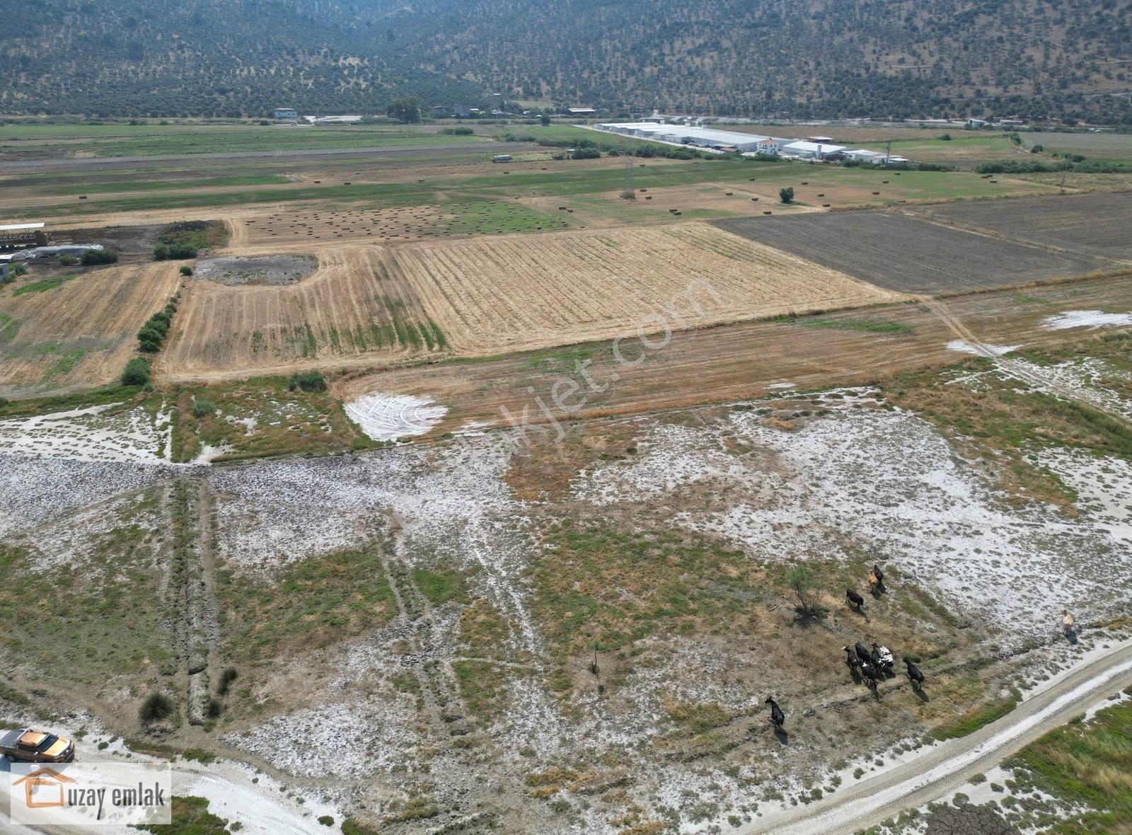 Milas Savran Mahallesi'nde Satılık 15.000 M² Tarla - Görsel 9