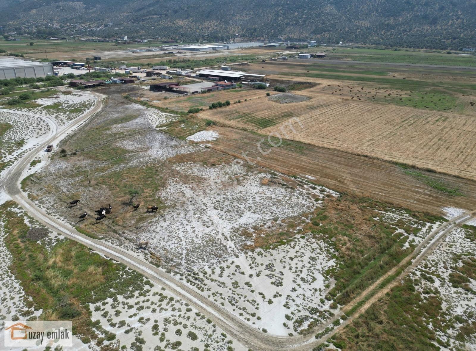 Milas Savran Mahallesi'nde Satılık 15.000 M² Tarla - Görsel 4
