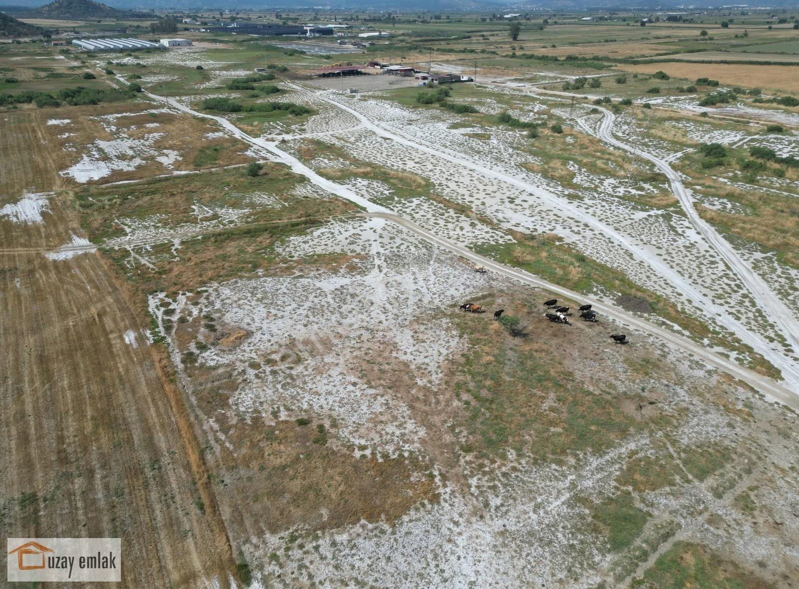 Milas Savran Mahallesi'nde Satılık 15.000 M² Tarla - Görsel 10