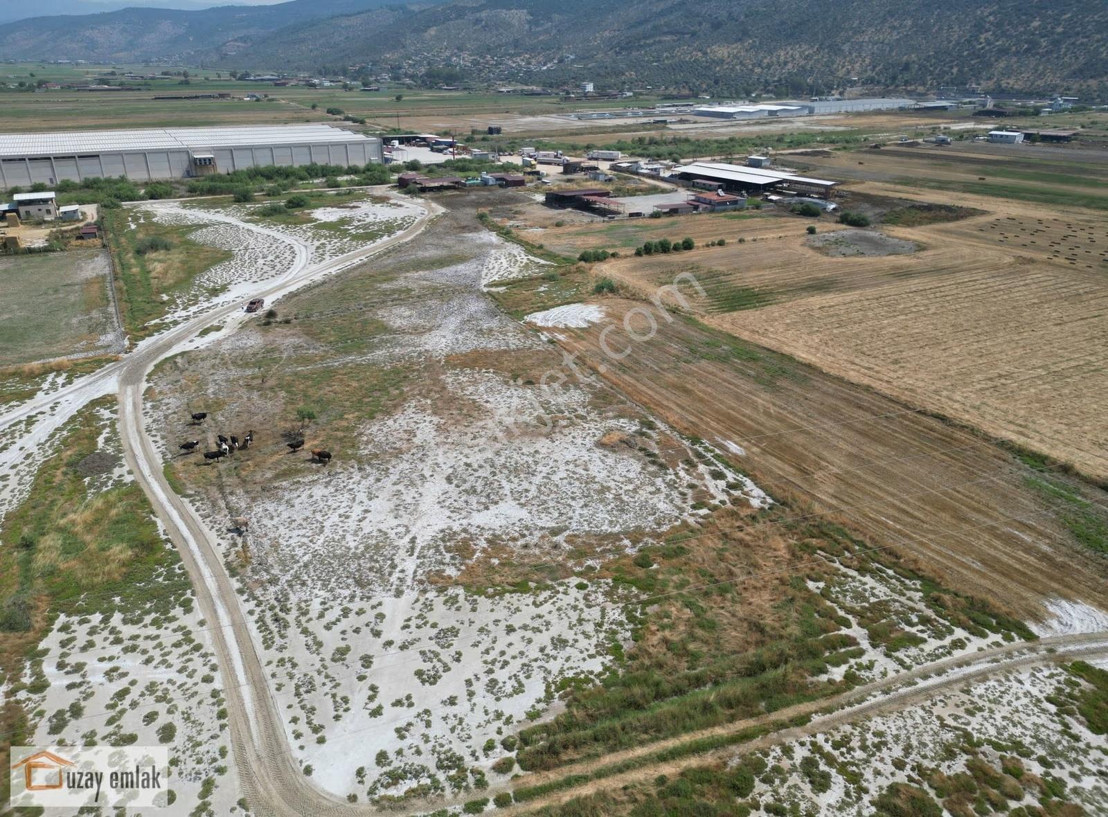 Milas Savran Mahallesi'nde Satılık 15.000 M² Tarla - Görsel 6
