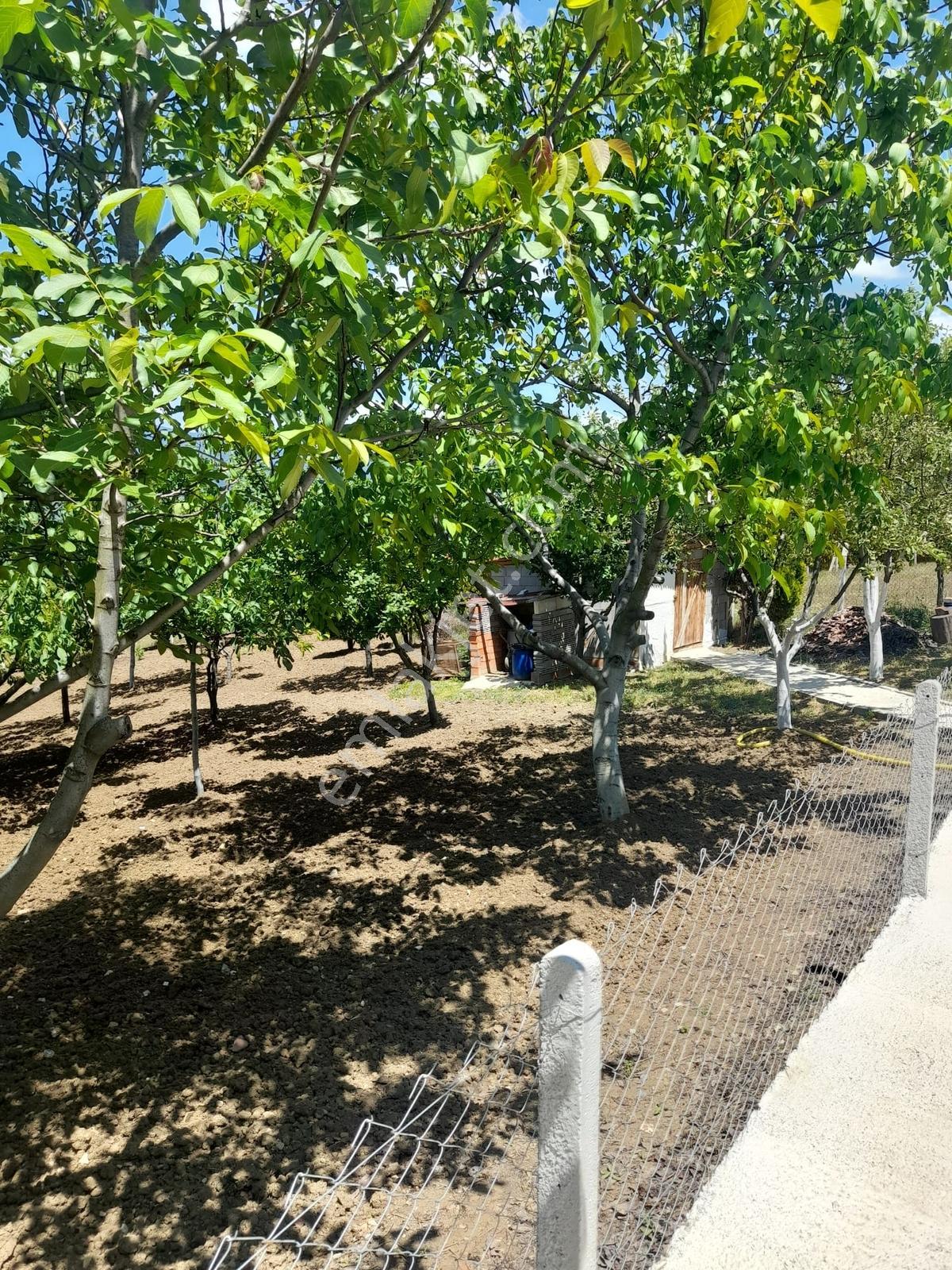 Panoramik Dağ Manzaralı, Meyve Bahçeli Eşsiz Yaşam Alanı - Görsel 9