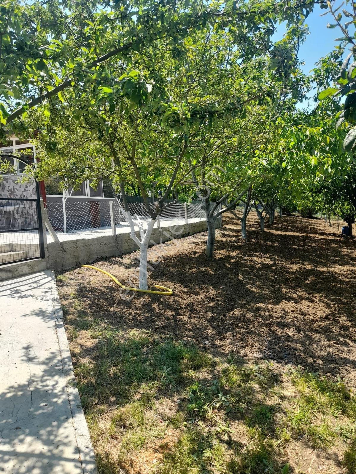 Panoramik Dağ Manzaralı, Meyve Bahçeli Eşsiz Yaşam Alanı - Görsel 29