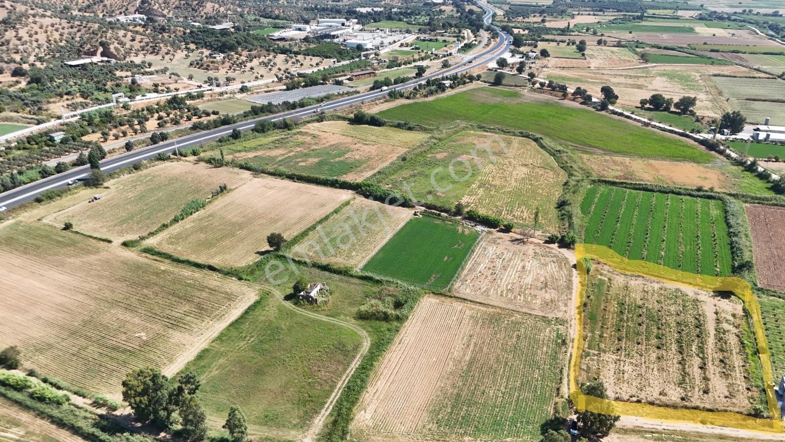 Aydın Köşk Yavuzköy Mh. Otoyol Yakını 4426 M2 Yatırımlık Tarla