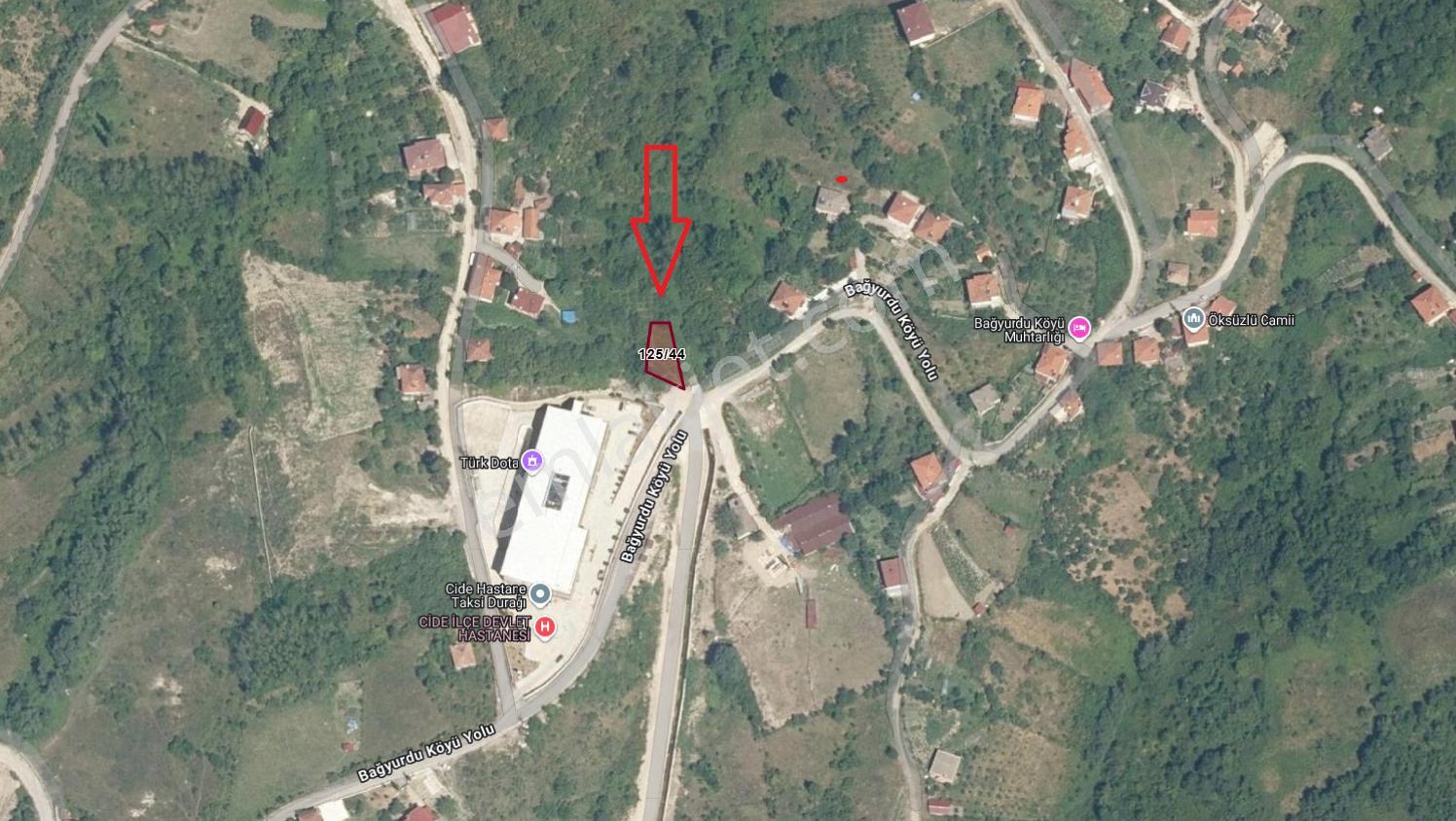 Cide Demirtaş Emlaktan Bağyurudu Köyünde Satılık Bahçe - Görsel 3