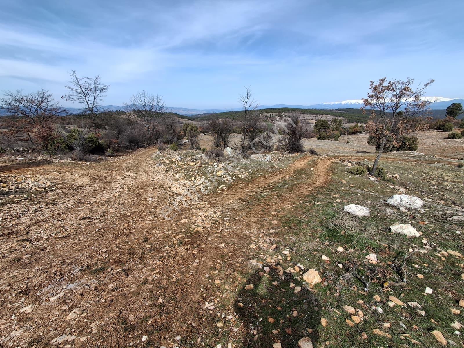 Uludağ Ve Doğa Manzaralı Muhteşem Arazi. - Görsel 26