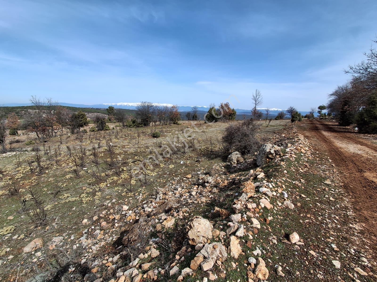 Uludağ Ve Doğa Manzaralı Muhteşem Arazi. - Görsel 24