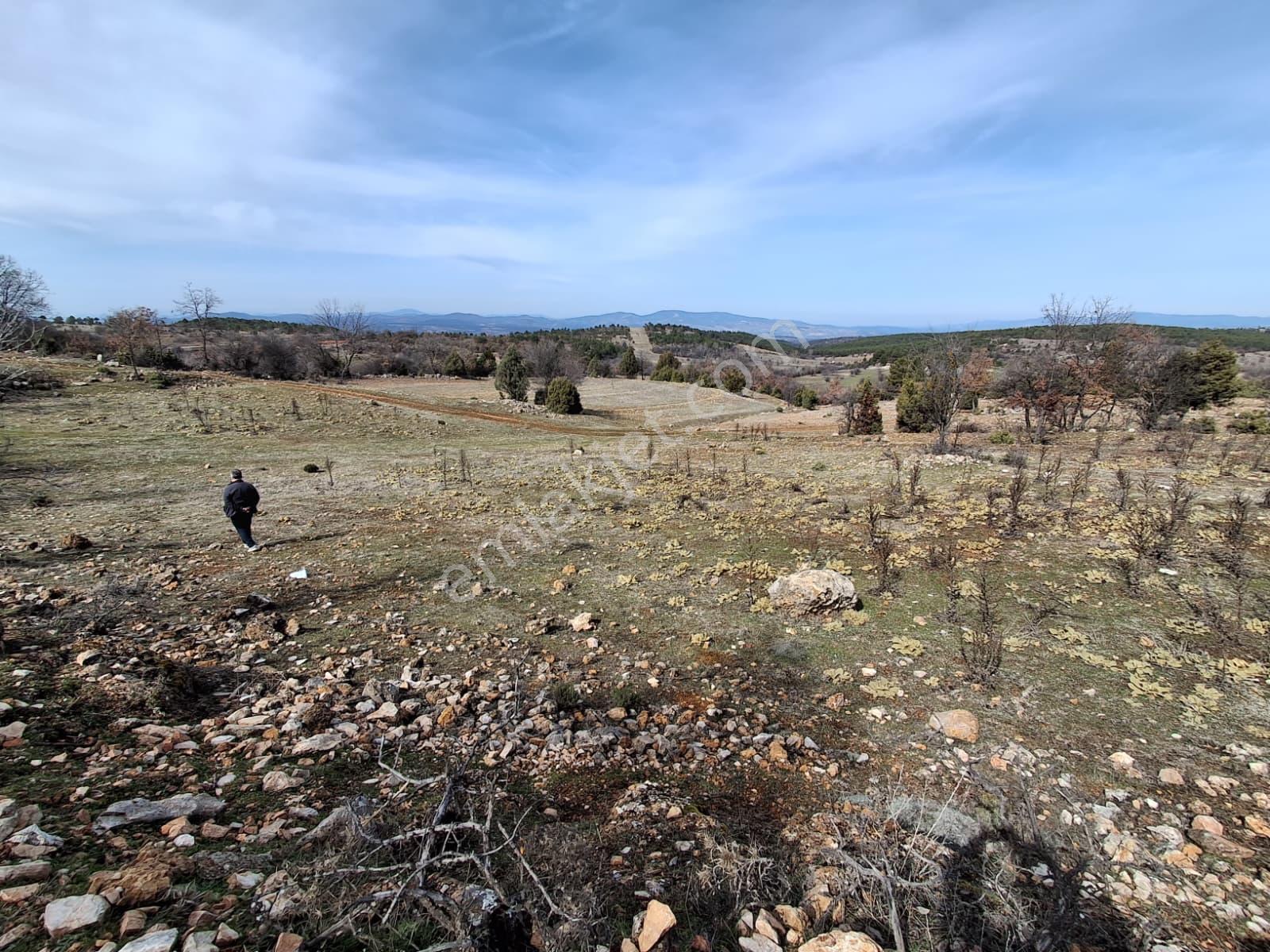 Uludağ Ve Doğa Manzaralı Muhteşem Arazi. - Görsel 22