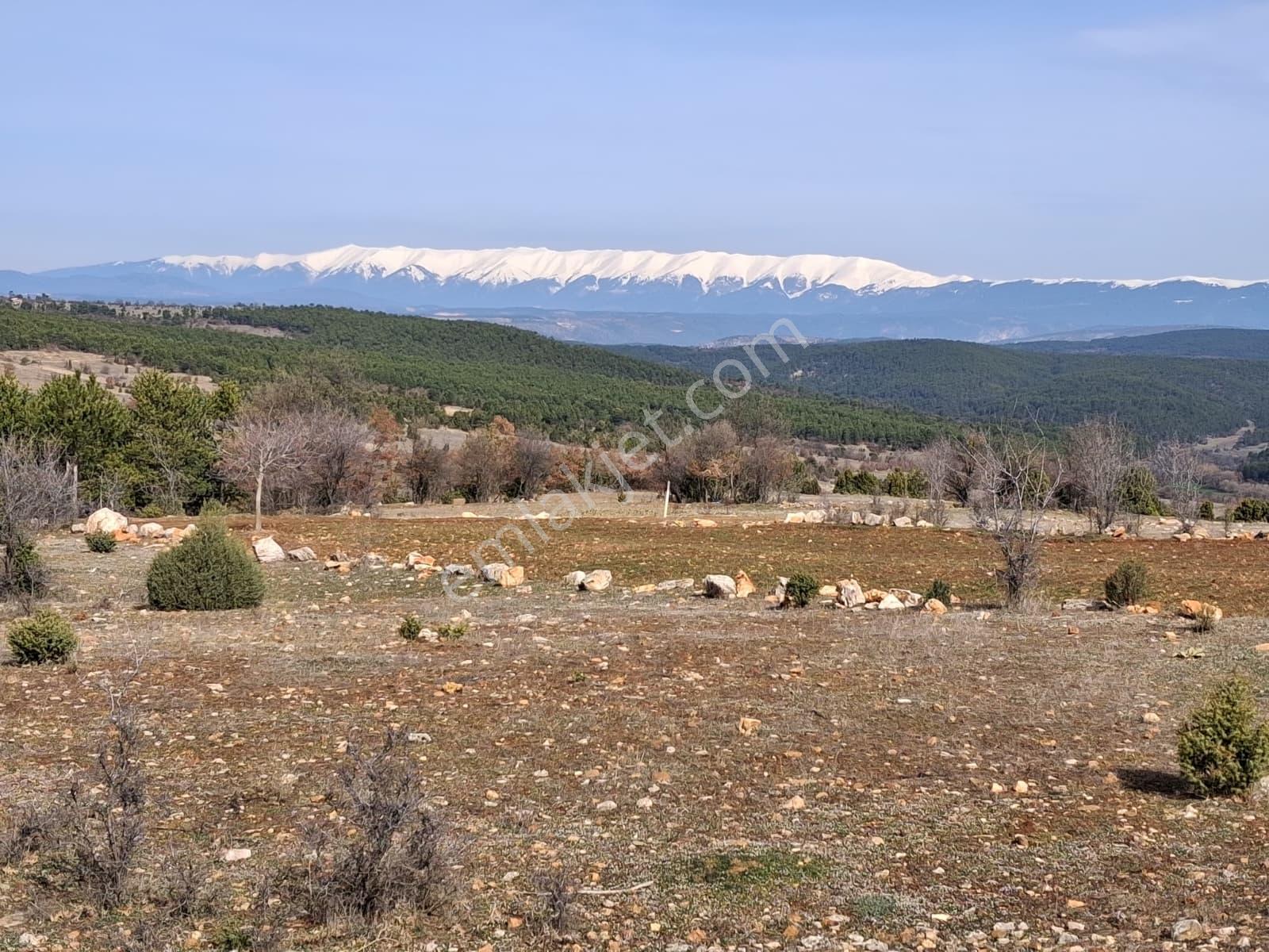 Uludağ Ve Doğa Manzaralı Muhteşem Arazi. - Görsel 8