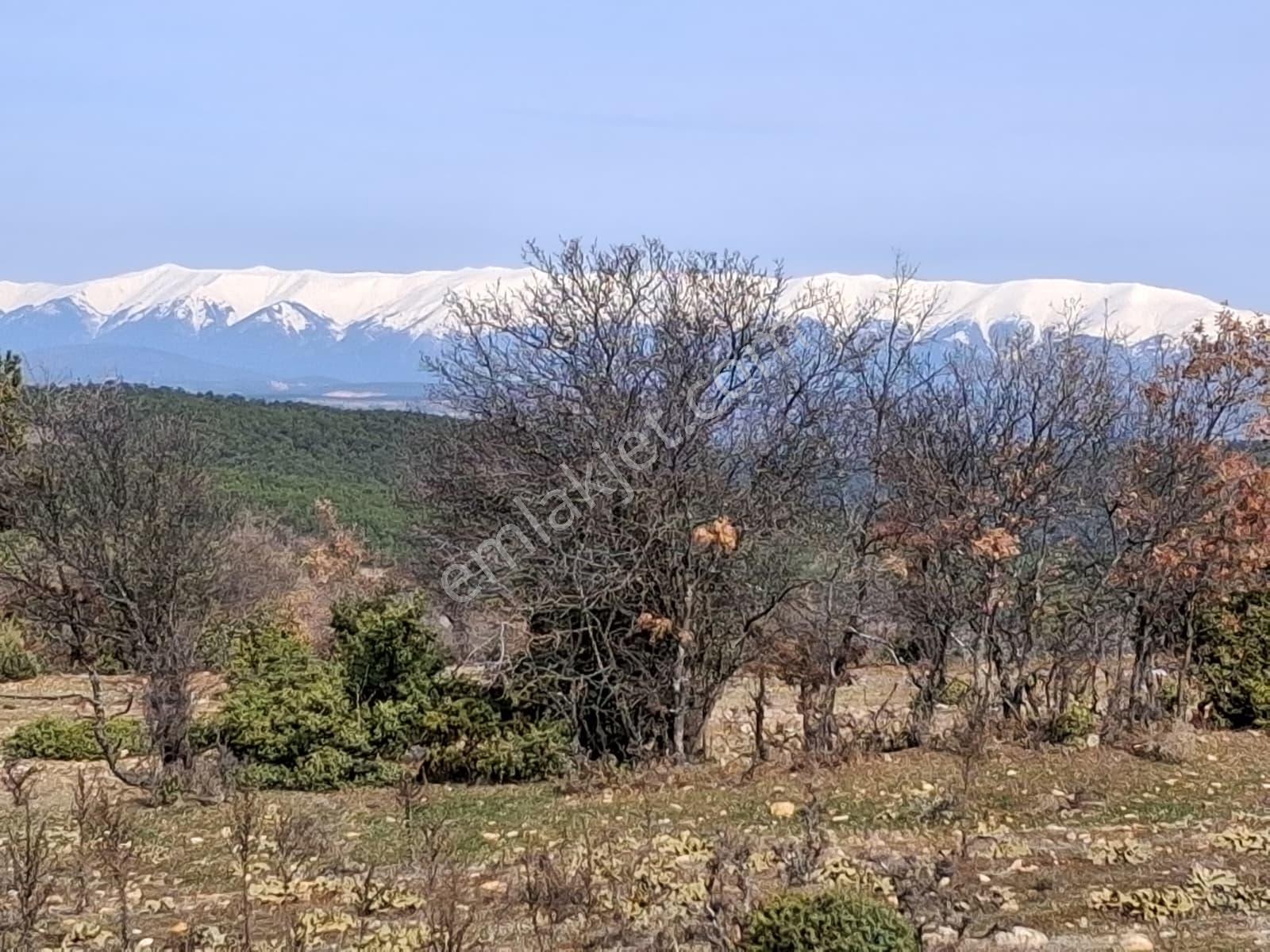 Uludağ Ve Doğa Manzaralı Muhteşem Arazi. - Görsel 16
