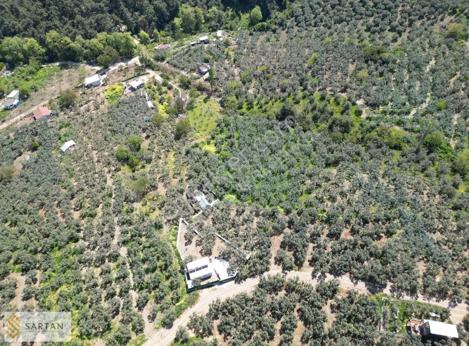 Çepni De Müstakil Tapulu Satılık.. - Görsel 15