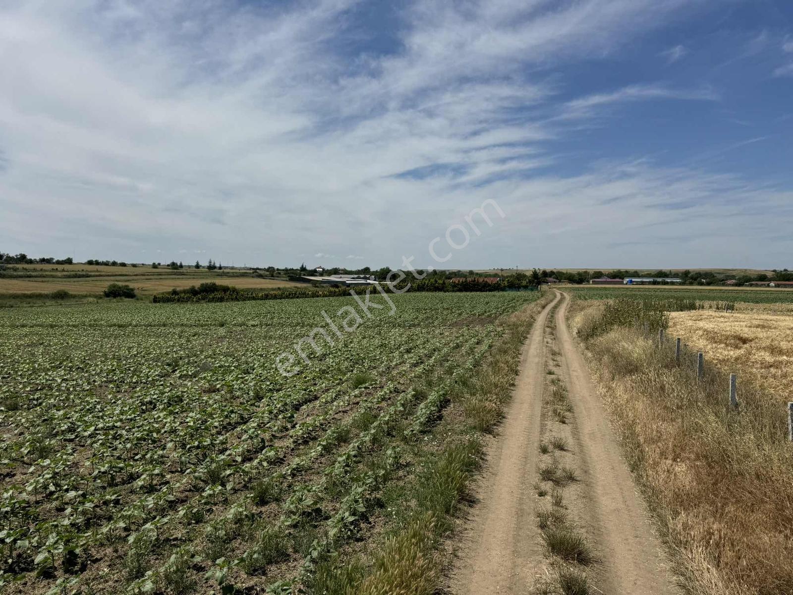 Saray Yuvalı Da 310 M2 Arsamız Satışta - Görsel 10