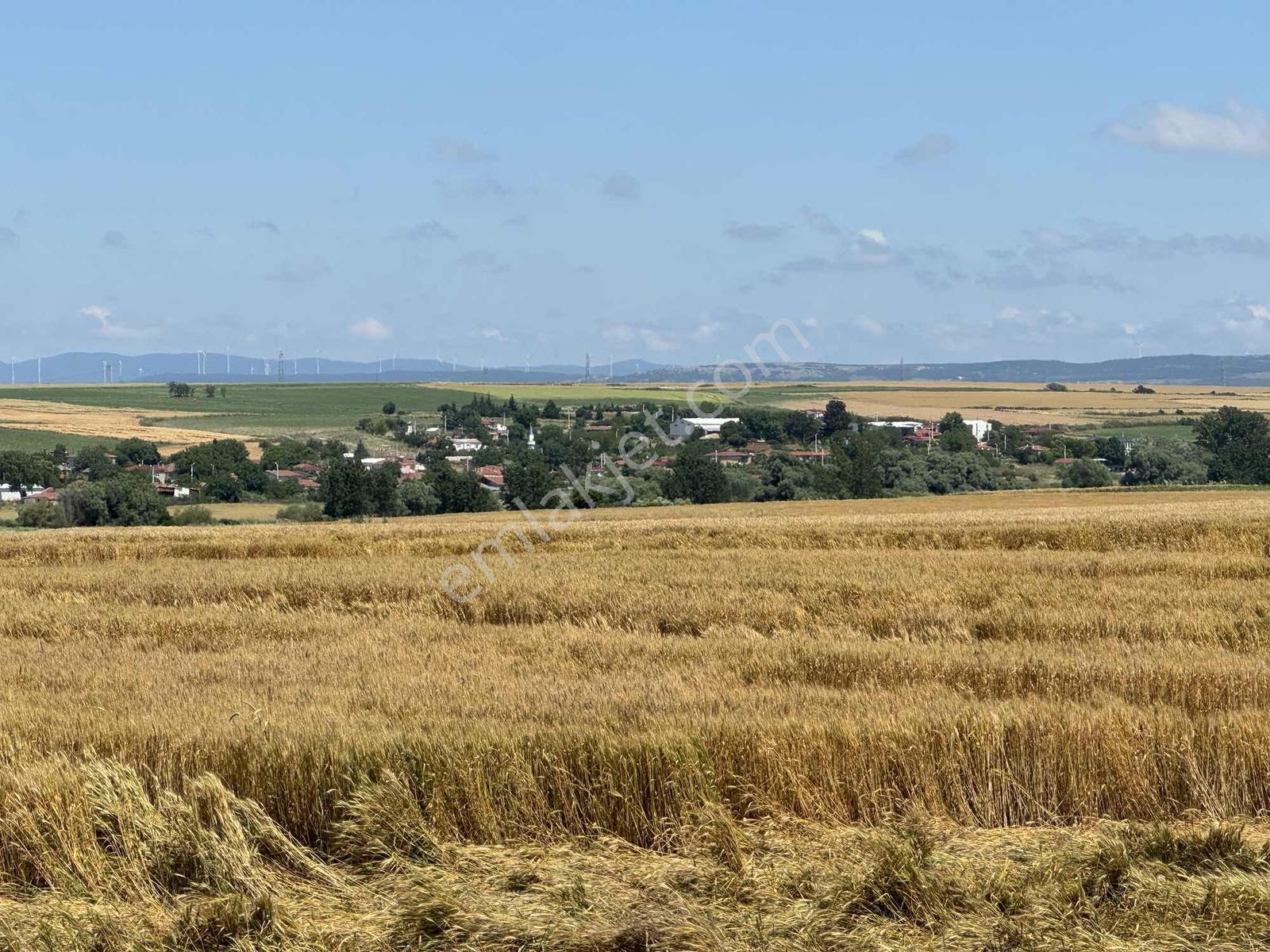 Saray Yuvalı Da 310 M2 Arsamız Satışta - Görsel 5