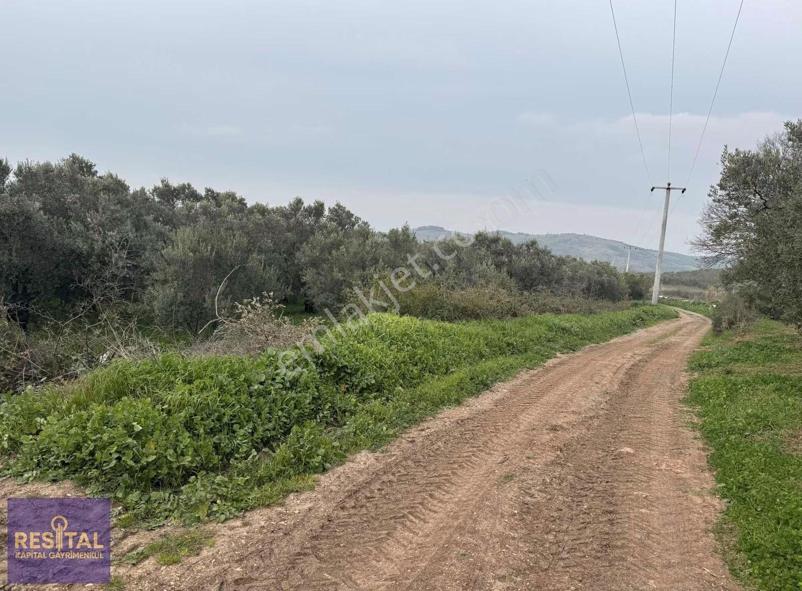 Kapital'den Satılık 233 M2 Bahçe - Görsel 15