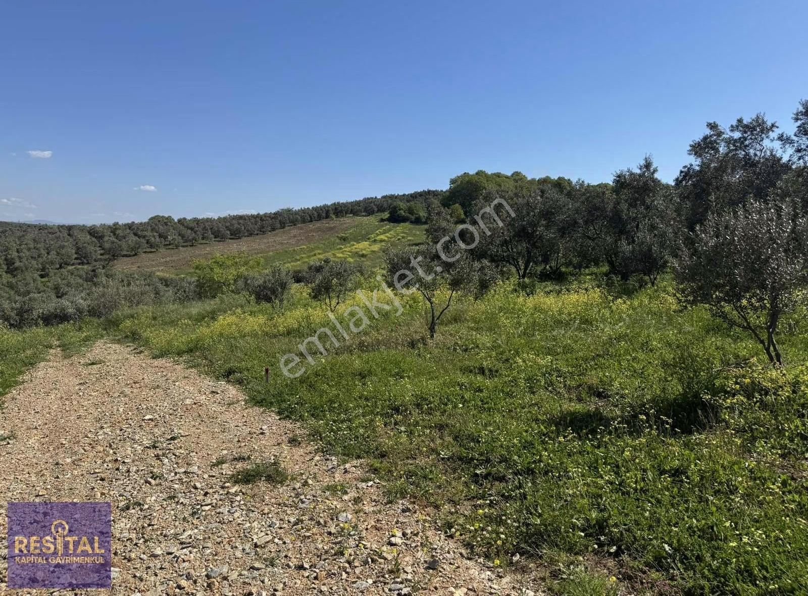Kapital'den Satılık 379 M2 Parseller - Görsel 6