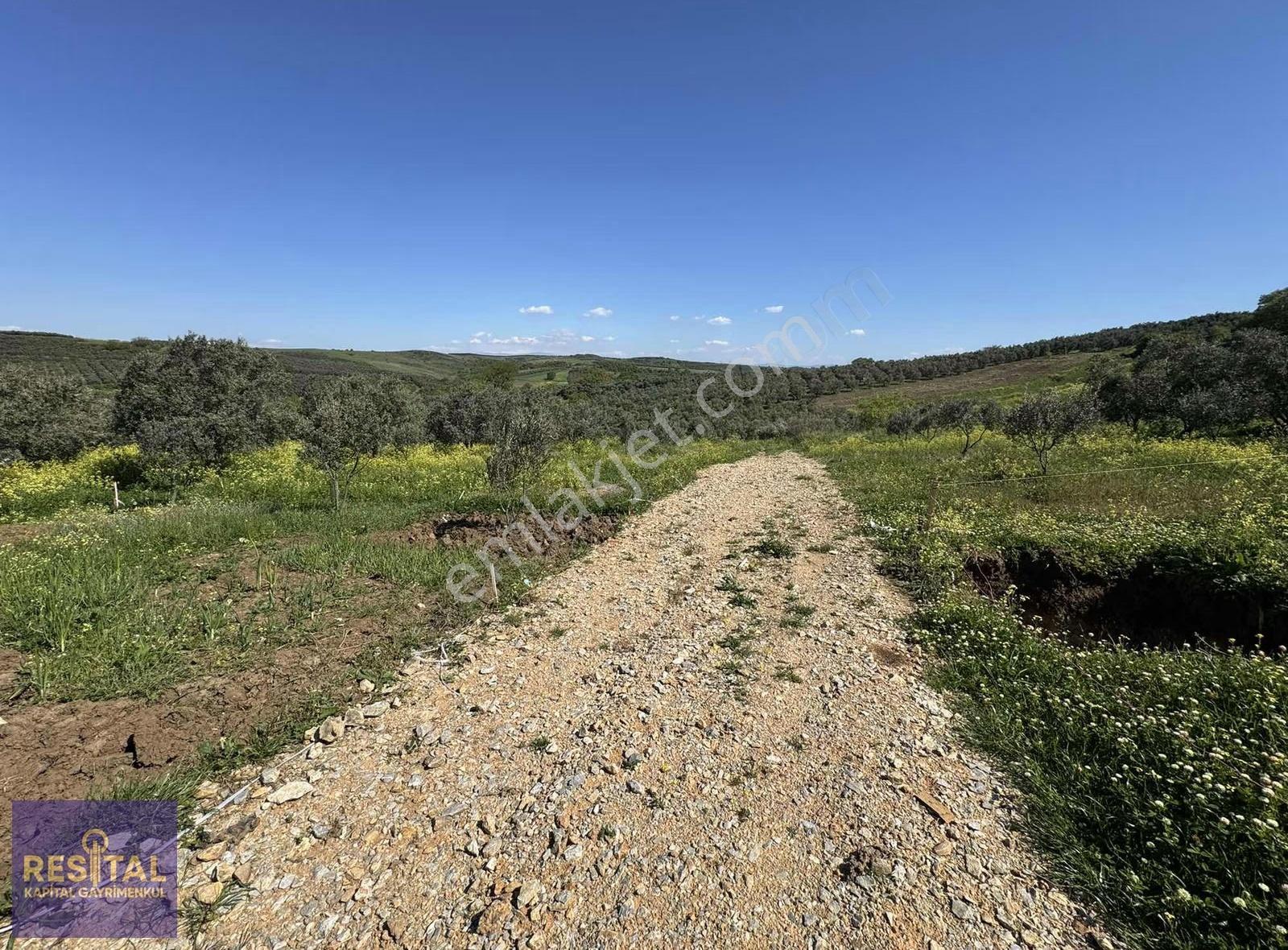 Kapital'den Satılık 379 M2 Parseller - Görsel 21