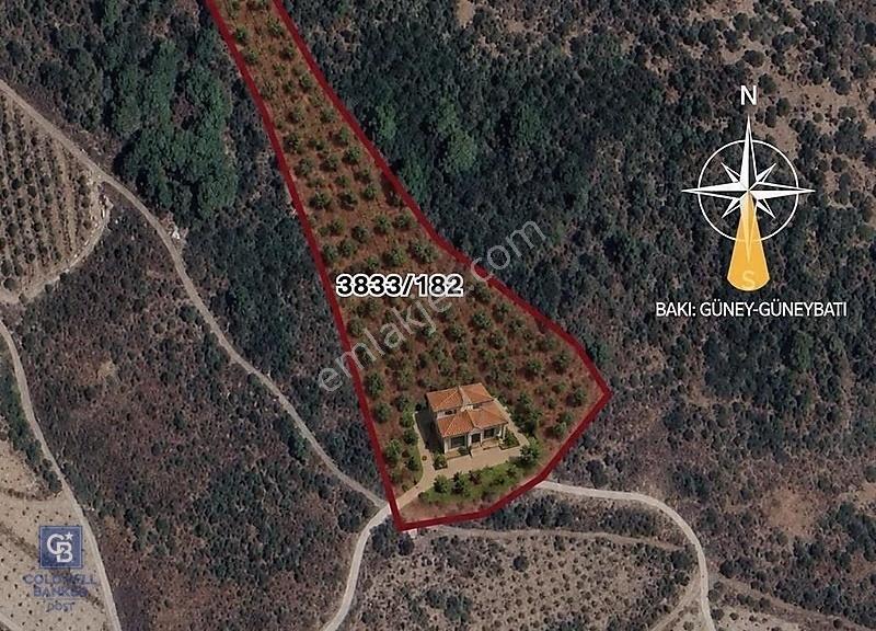 Seferihisar Da Bağevi Hayali Olanlara Deniz Manzaralı Zeytinlik - Görsel 10