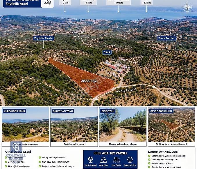Seferihisar Da Bağevi Hayali Olanlara Deniz Manzaralı Zeytinlik - Görsel 18