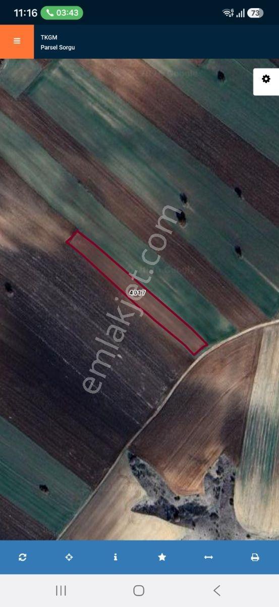 Emlakyap Tan Kırklareli İnece De Fırsat Arazi - Görsel 4