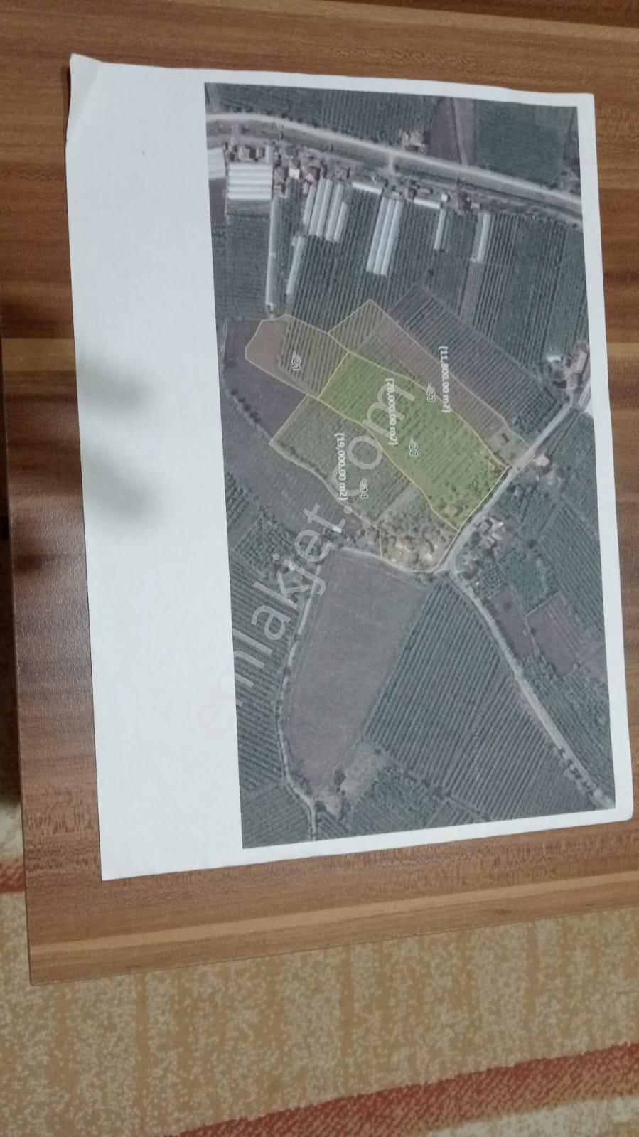 Çarşamba Karamustafalı'da Satılık 3469 M² Tarla - Görsel 4
