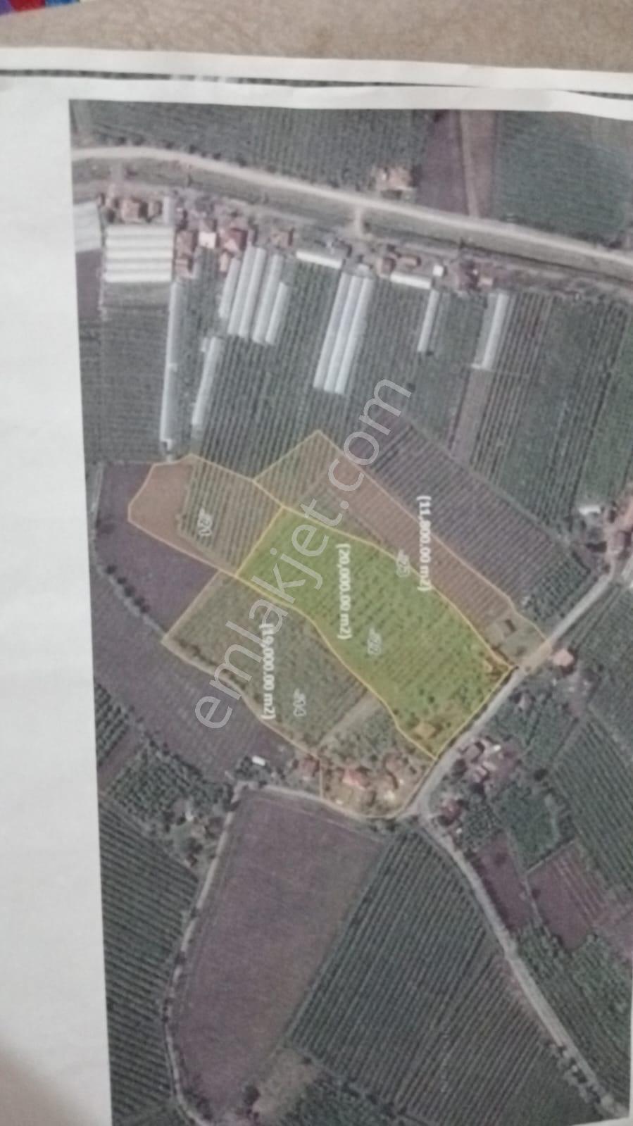 Çarşamba Karamustafalı'da Satılık 3469 M² Tarla - Görsel 2