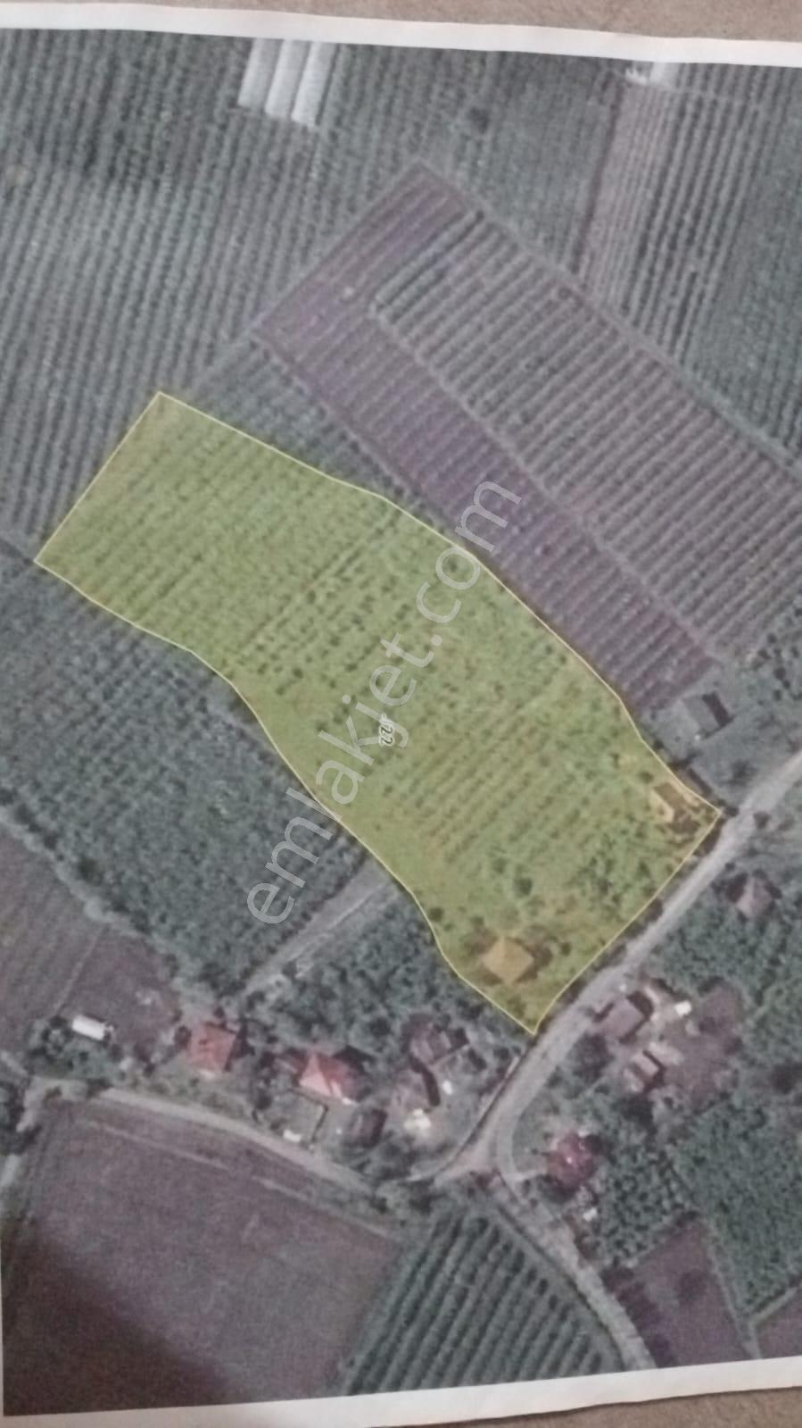 Çarşamba Karamustafalı'da Satılık 3469 M² Tarla - Görsel 5