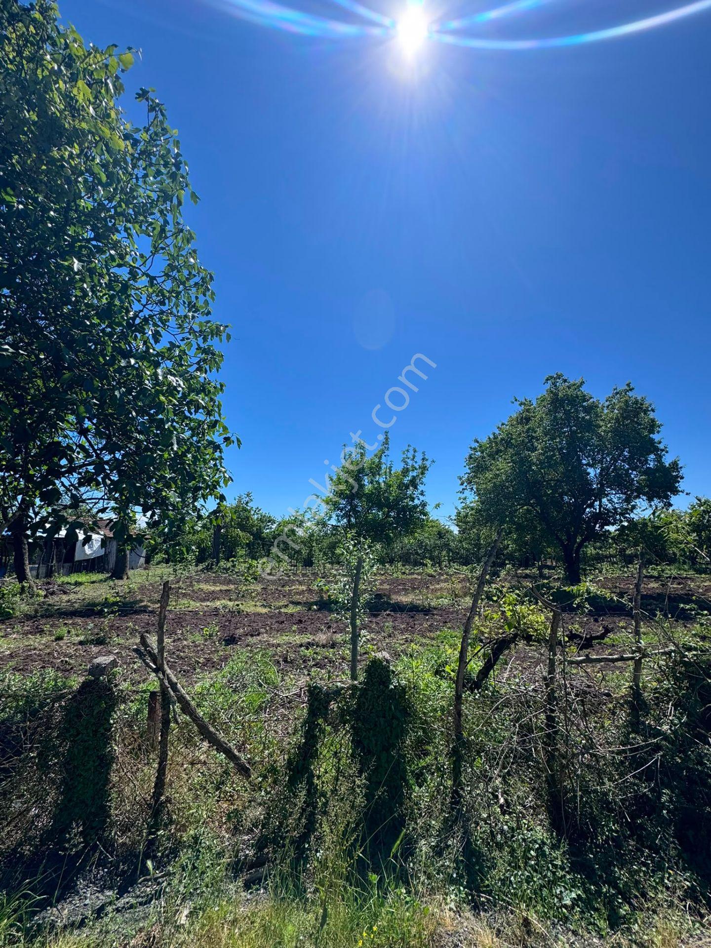 Çarşamba Karamustafalı'da Satılık 3469 M² Tarla - Görsel 7