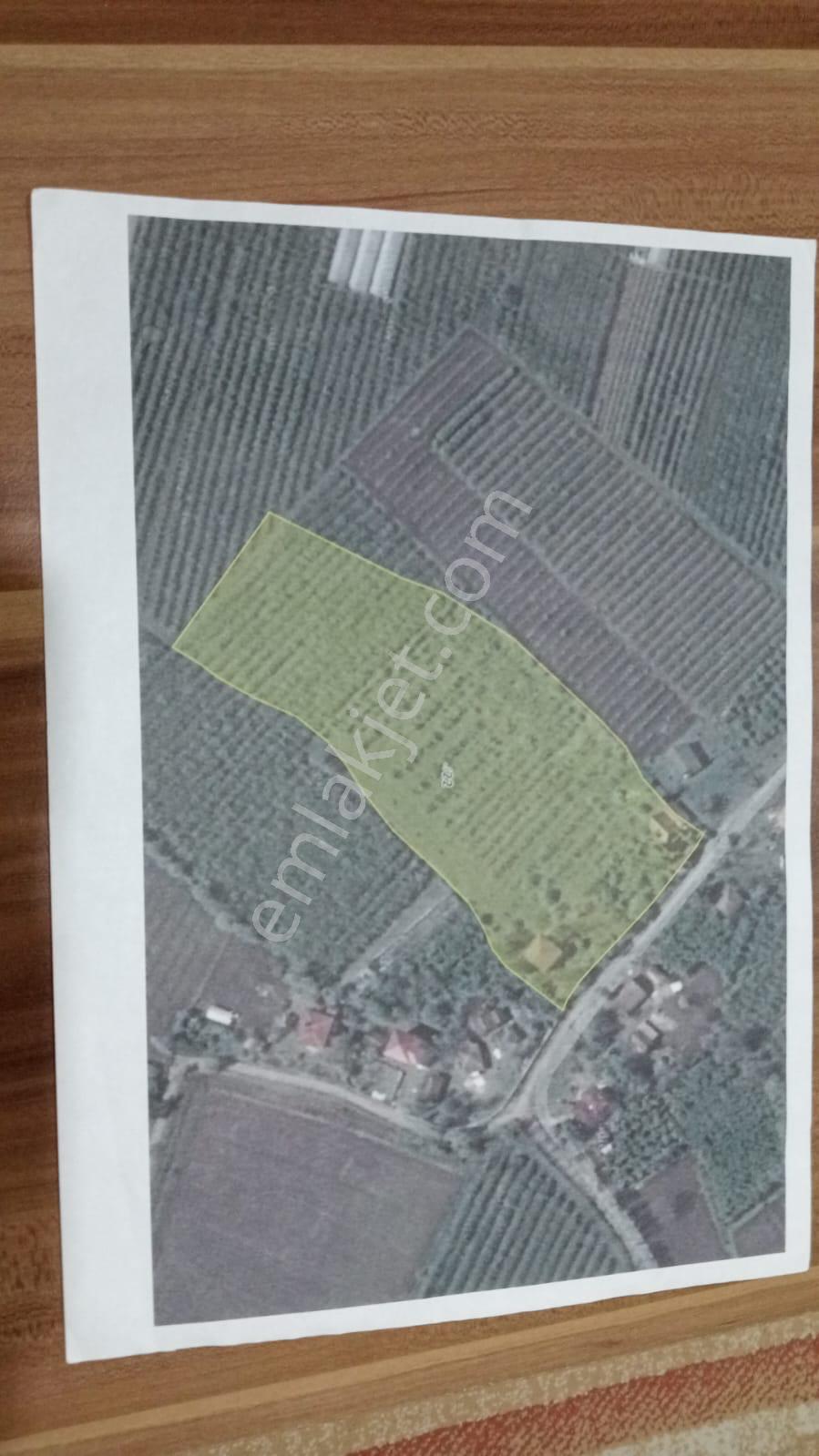 Çarşamba Karamustafalı'da Satılık 3469 M² Tarla - Görsel 14