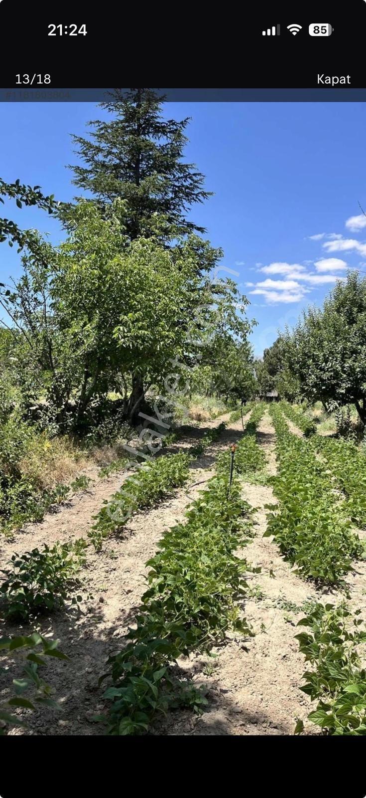 Konya Seydişehir Kesecik Mahallesinde Satılık 3650m - Görsel 16