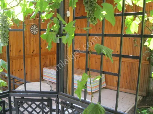 Heykel De Ful Yapılı Kiralık Daire - Görsel 2