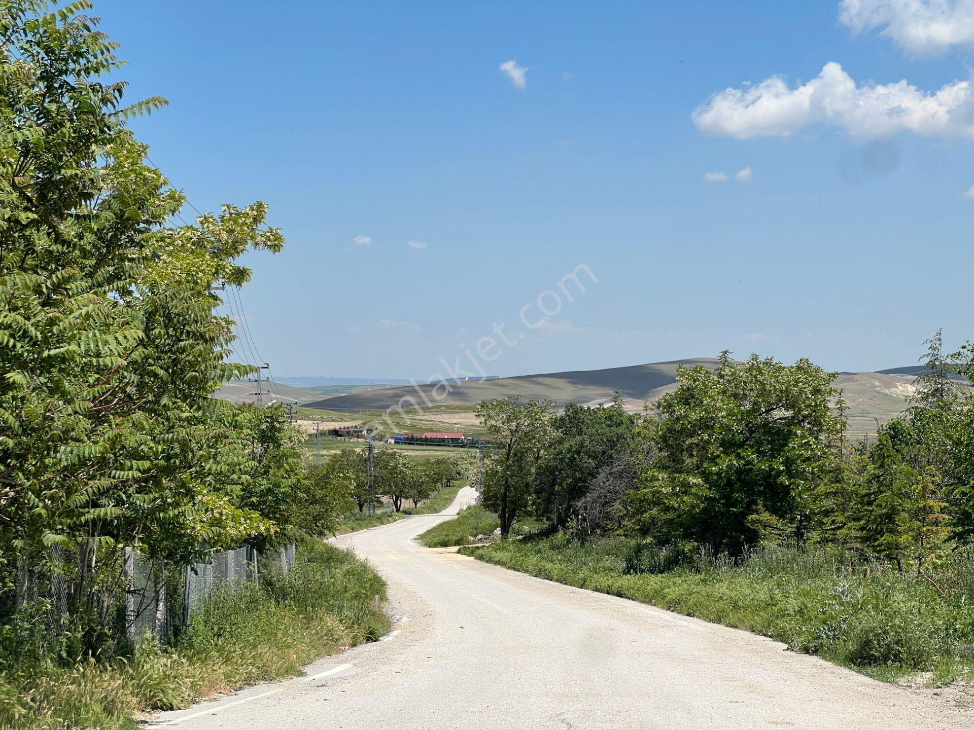 Ankara Gölbası Kırıklı Mah 5153m2 Koye 600 Metre Mesafe Tek Tapu - Görsel 21