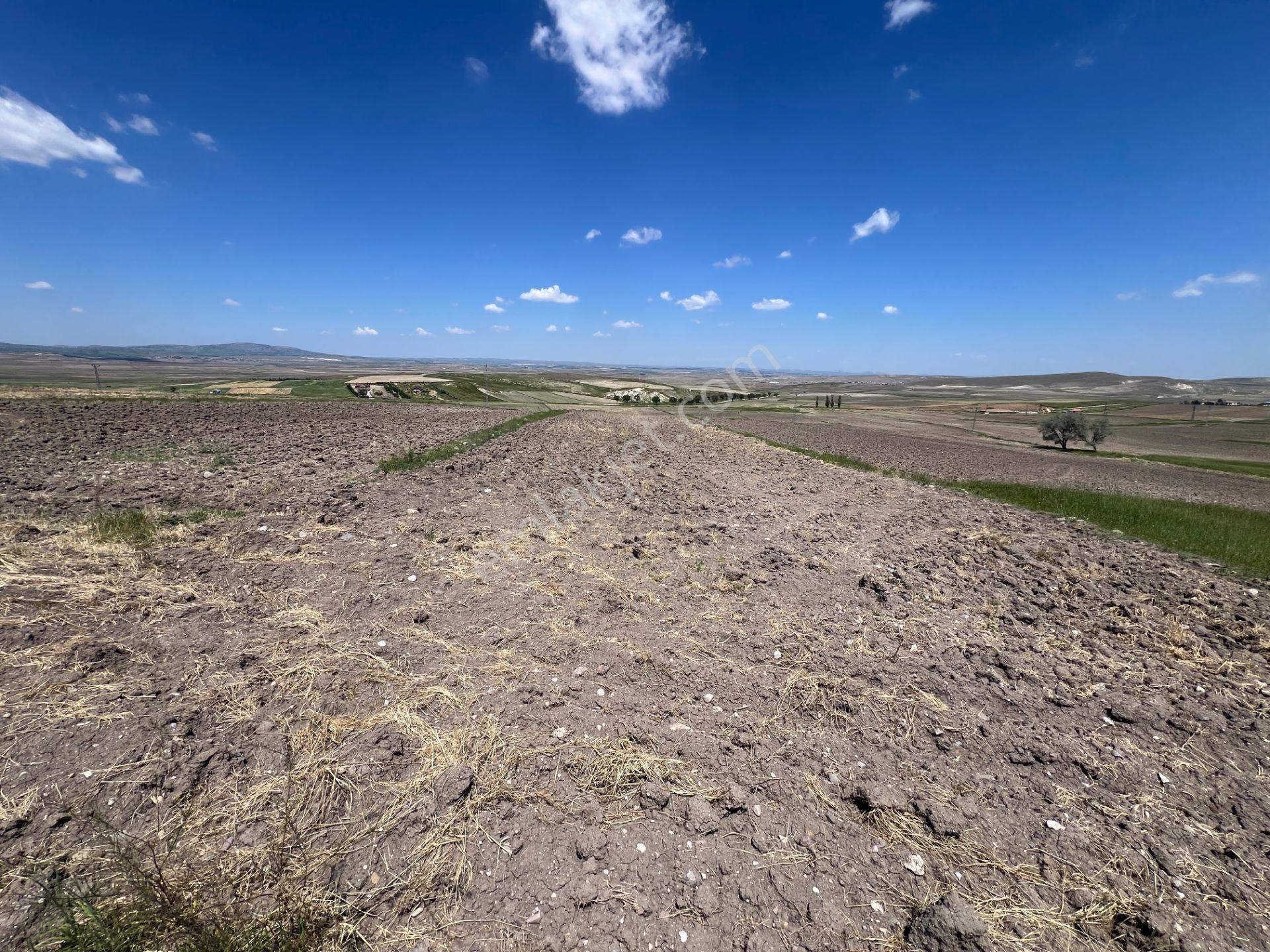 Ankara Gölbası Kırıklı Mah 5153m2 Koye 600 Metre Mesafe Tek Tapu - Görsel 13