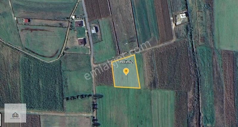 Körfez Cuma Köyde 2446 M2 45 Metre Yol Cepheli Satılık Tarla - Görsel 2