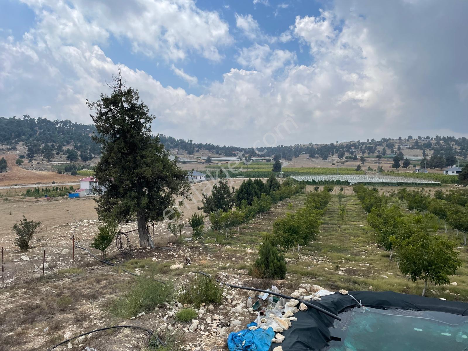 Mersin Erdemli Çerçilli'de 6 Dönüm Ceviz Ve Meyve Bahçesi - Görsel 22