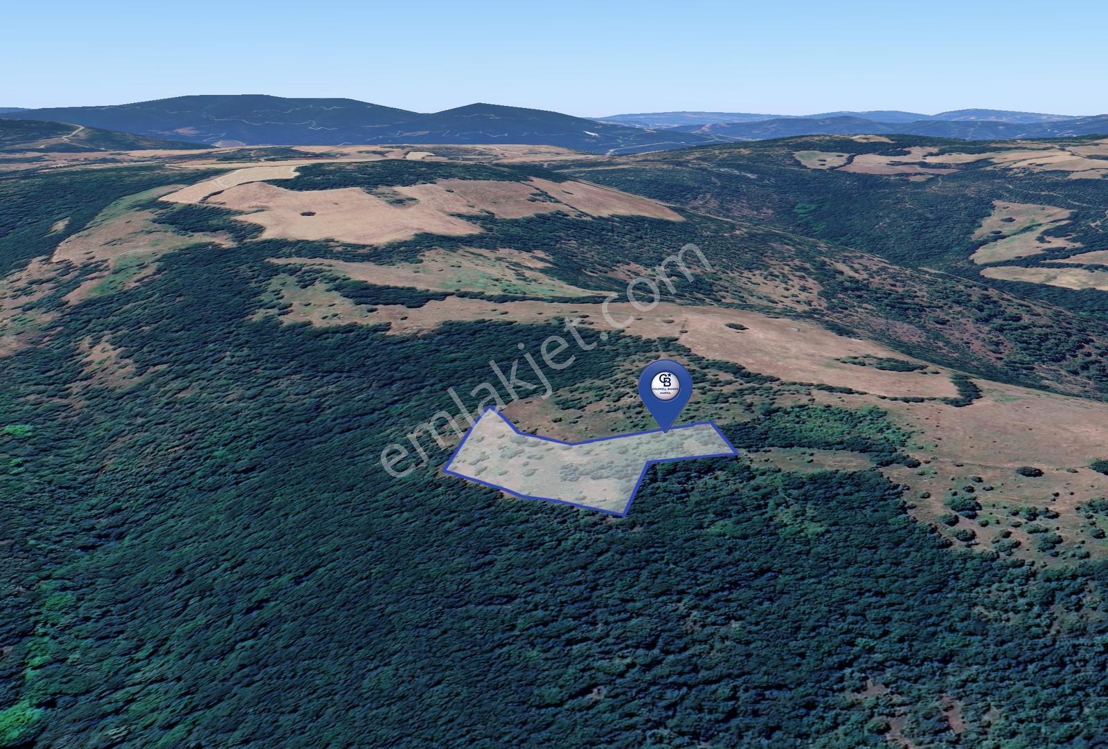 Çanakkale Yenice Yukarıkaraaşık'ta Satılık 4.899 M² Tarla - Görsel 5