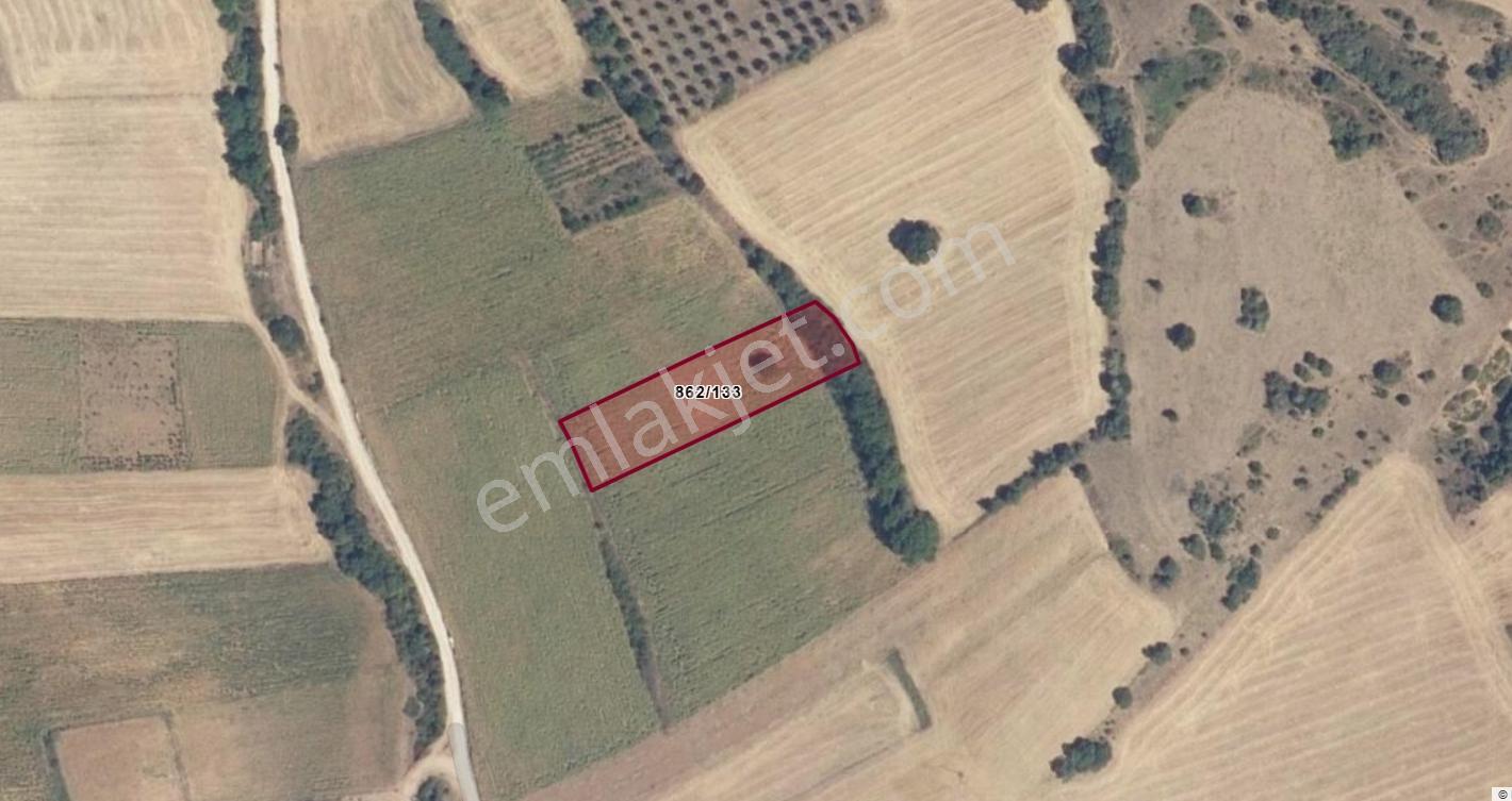 Bursa Yenişehir Dereköy'de 2.598m2 Satılık Tarla - Görsel 2