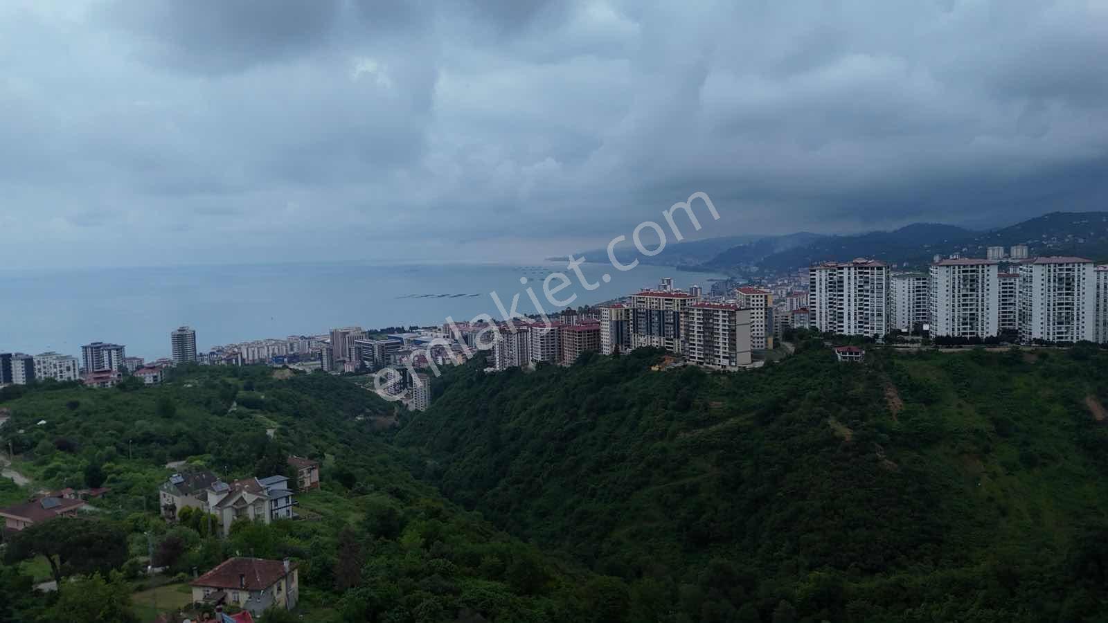 Yalıncak'da Satılık 5269 M2 Arazi - Görsel 13