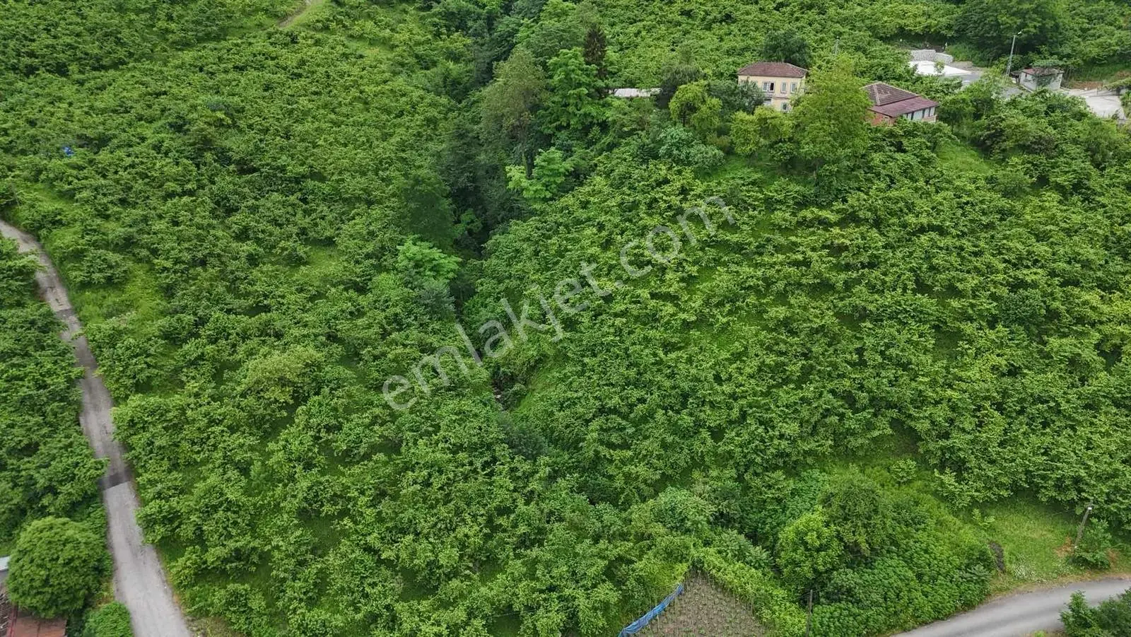 Yalıncak'da Satılık 5269 M2 Arazi - Görsel 8