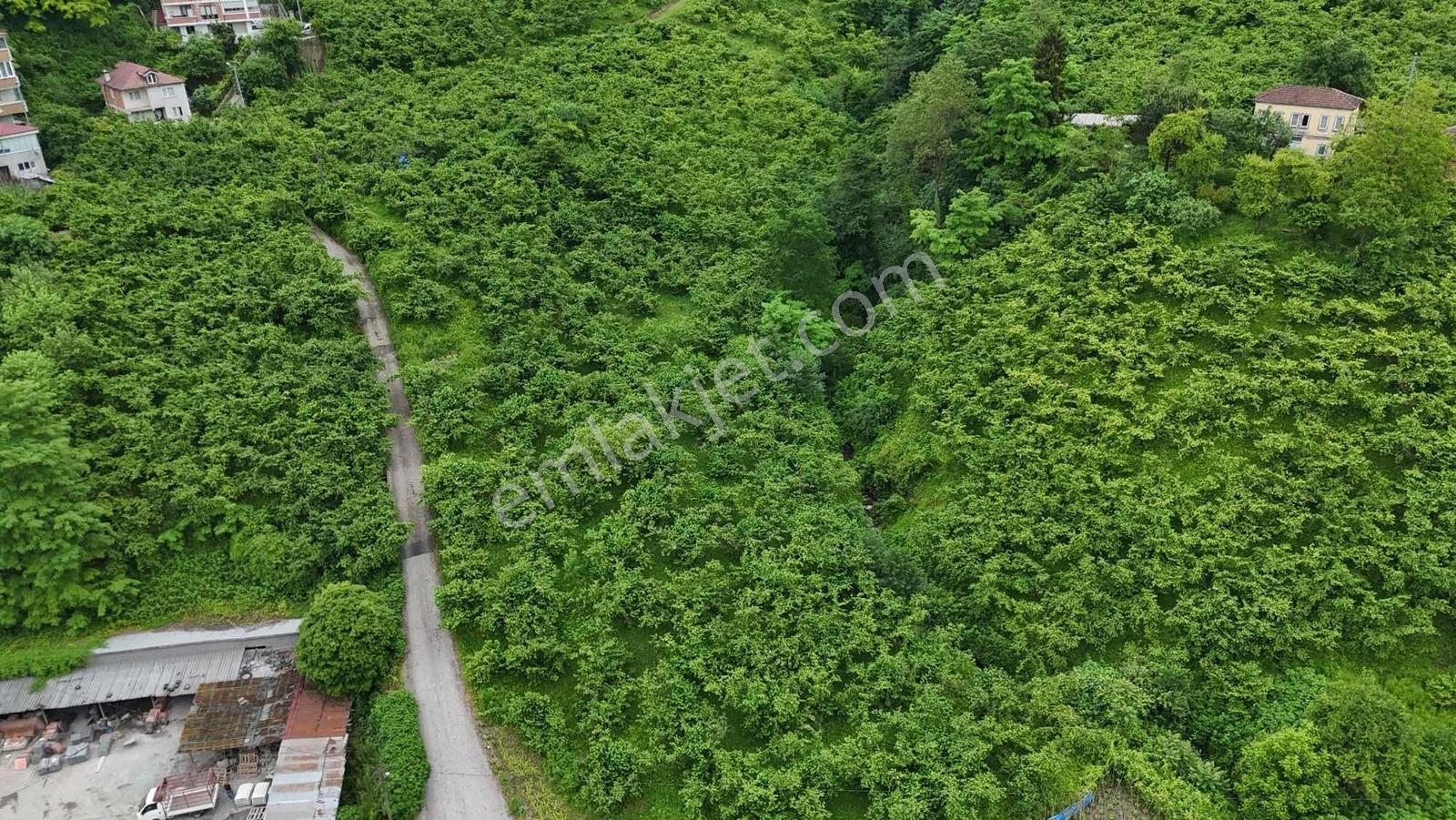 Yalıncak'da Satılık 5269 M2 Arazi - Görsel 7