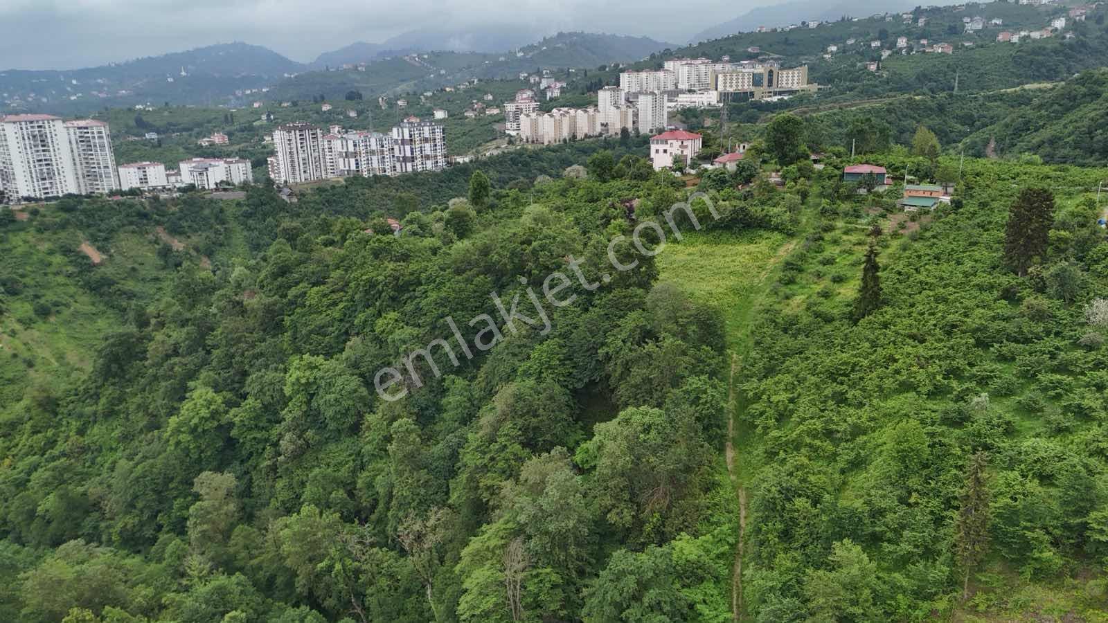 Yalıncak'da Satılık 5269 M2 Arazi - Görsel 15