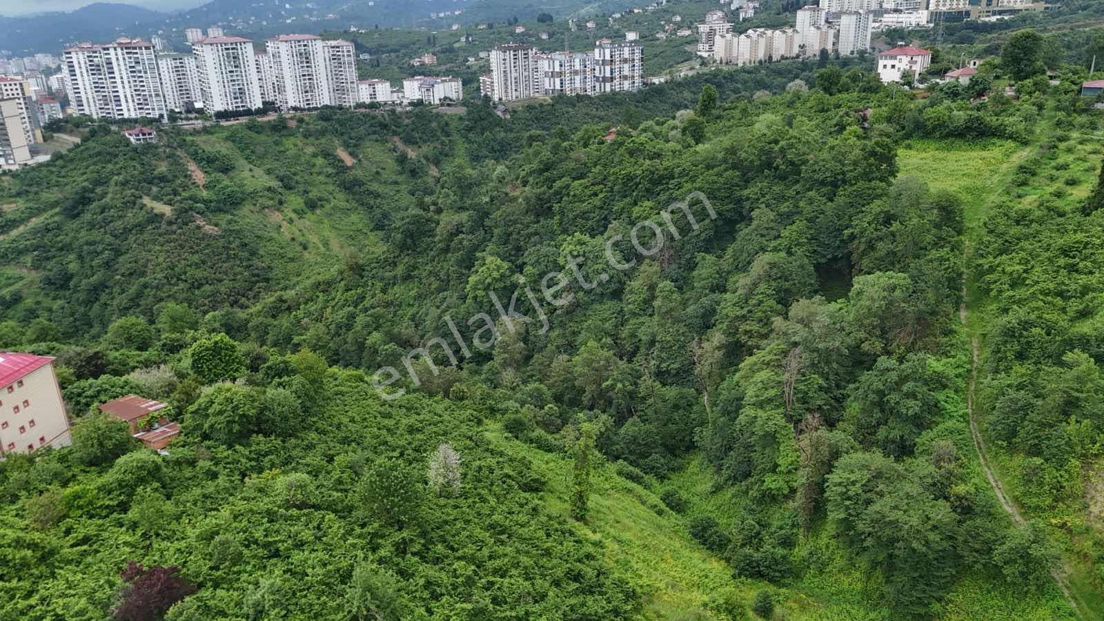 Yalıncak'da Satılık 5269 M2 Arazi - Görsel 10