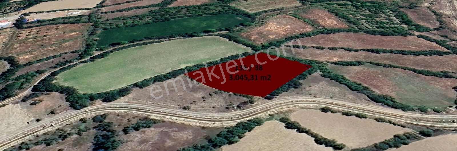 Remax Dem'den Cevizli Köyünde Satılık Fırsat Sulu Tarla - Görsel 2